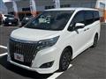 2019 Toyota Esquire