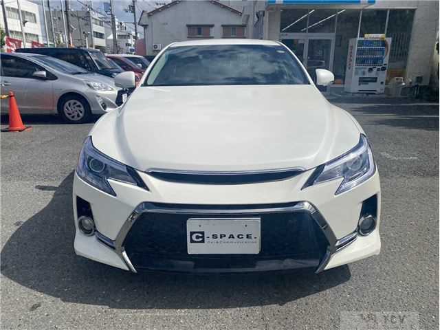 2010 Toyota Mark X