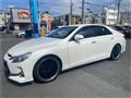 2010 Toyota Mark X