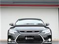 2010 Toyota Mark X