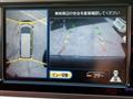 2007 Nissan Elgrand