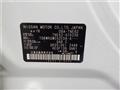 2011 Nissan Elgrand