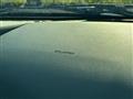 2006 Nissan Fairlady Z
