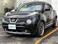 2011 Nissan Juke