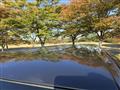 2014 Nissan NV350 Caravan