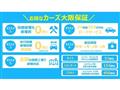 2013 Nissan Skyline
