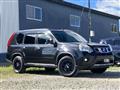 2013 Nissan X-Trail
