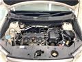 2007 Honda Crossroad