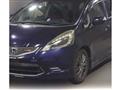 2009 Honda Fit