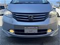 2009 Honda Freed