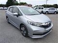 2020 Honda Shuttle