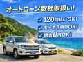2010 Honda Step WGN