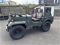 1991 Mitsubishi Jeep