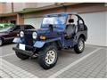 1990 Mitsubishi Jeep