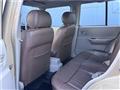 1995 Nissan Rasheen