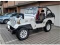 1995 Mitsubishi Jeep