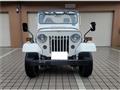 1995 Mitsubishi Jeep