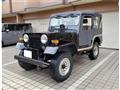 1996 Mitsubishi Jeep