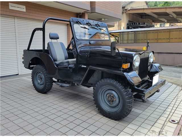 1995 Mitsubishi Jeep