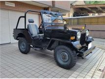 1995 Mitsubishi Jeep
