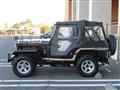 1995 Mitsubishi Jeep