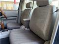 1996 Nissan Rasheen