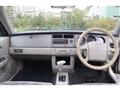 1995 Nissan Rasheen