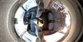 1996 Nissan Caravan Coach