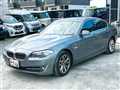 2010 BMW 5 Series