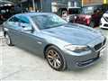 2010 BMW 5 Series