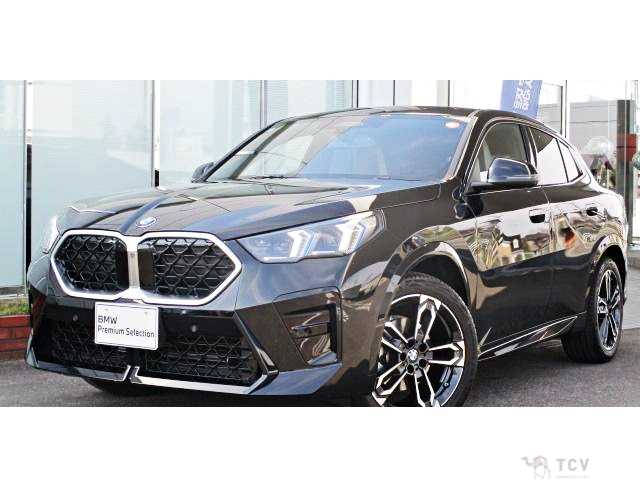 2025 BMW X2