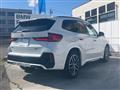 2024 BMW X1