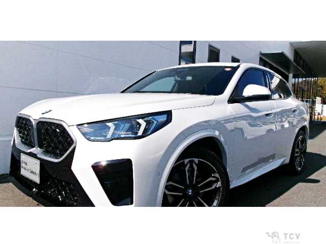 2025 BMW X2