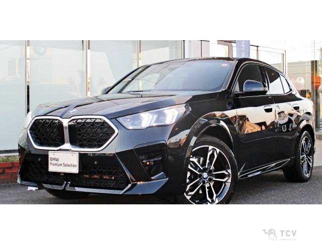 2025 BMW X2