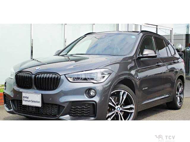2017 BMW X1