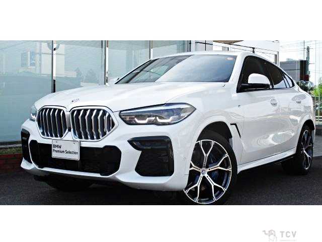 2023 BMW X6