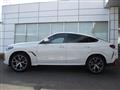 2023 BMW X6