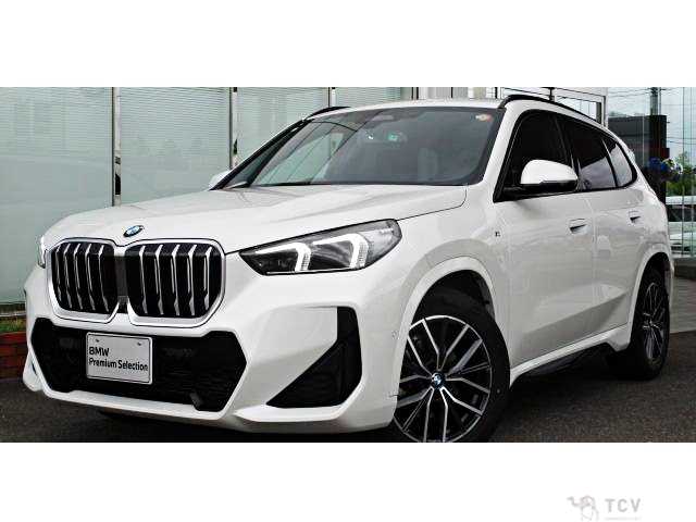 2023 BMW X1
