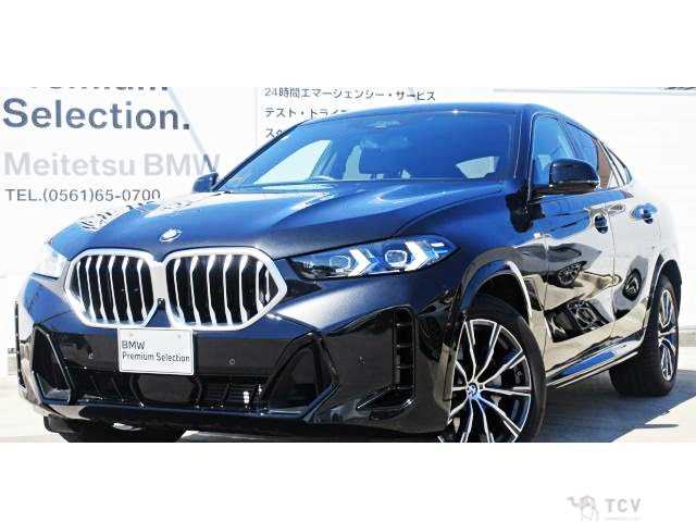 2025 BMW X6