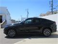 2025 BMW X6