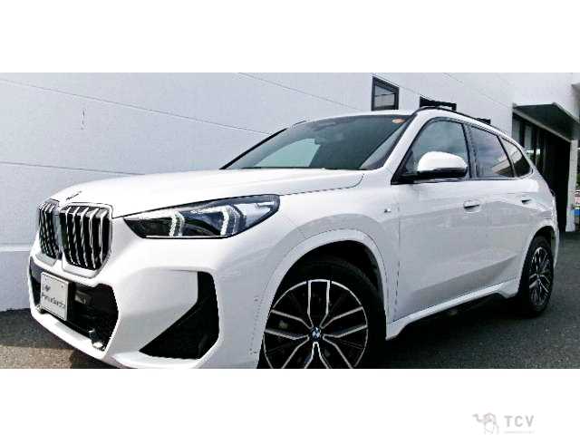 2023 BMW X1