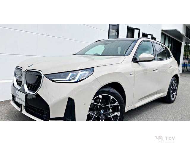 2025 BMW X3