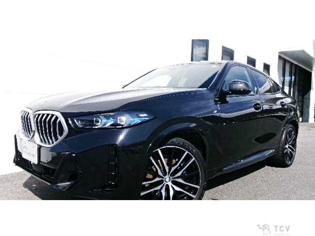 2025 BMW X6