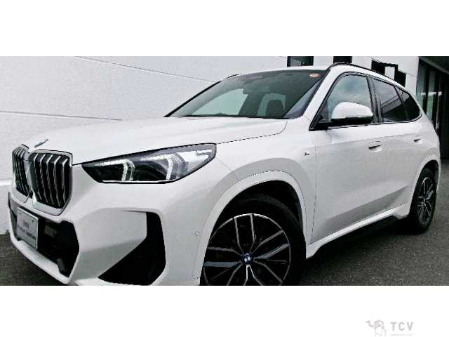2023 BMW X1