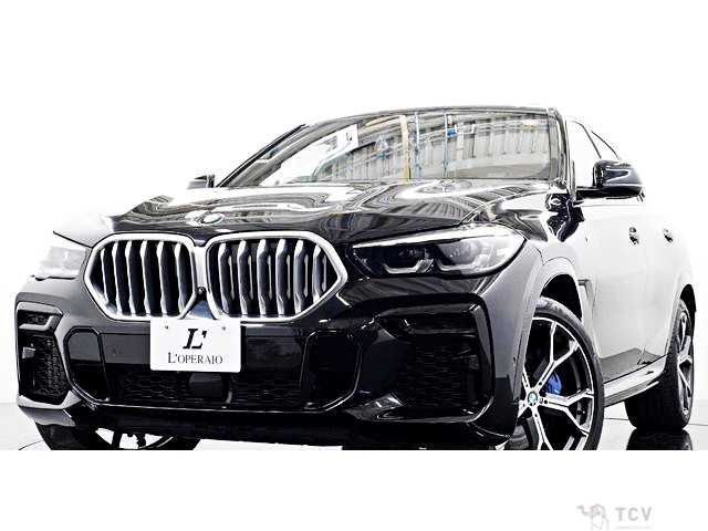 2021 BMW X6