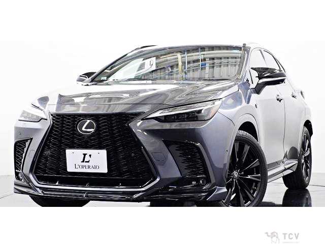 2023 Lexus NX