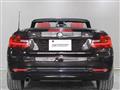 2015 BMW 2 Series