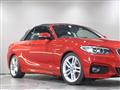 2015 BMW 2 Series