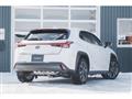 2019 Lexus Other