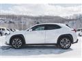 2019 Lexus Other